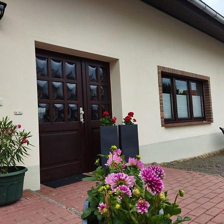Ferienwohnung Familie Pohle 뤼베나우 외부 사진