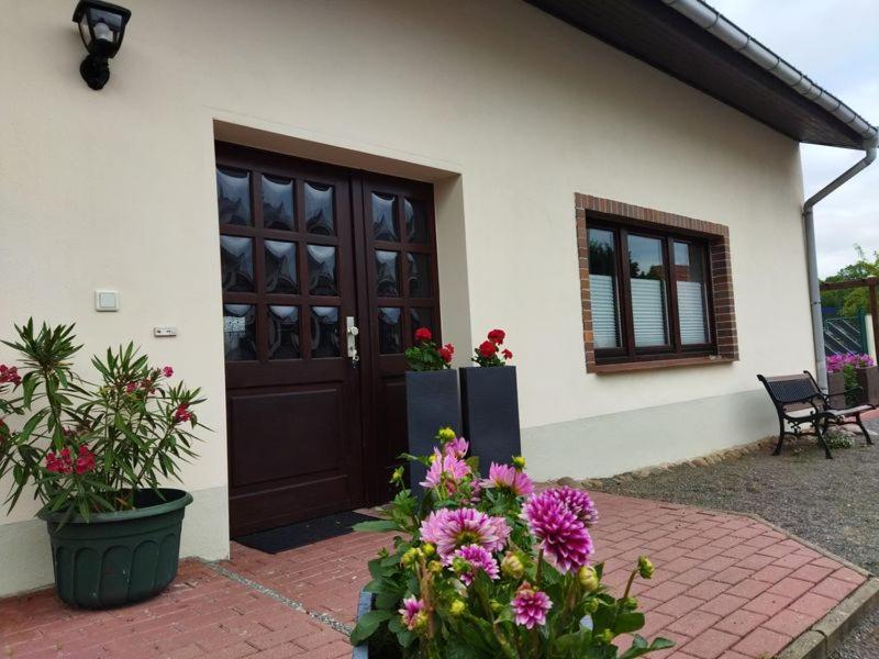 Ferienwohnung Familie Pohle 뤼베나우 외부 사진